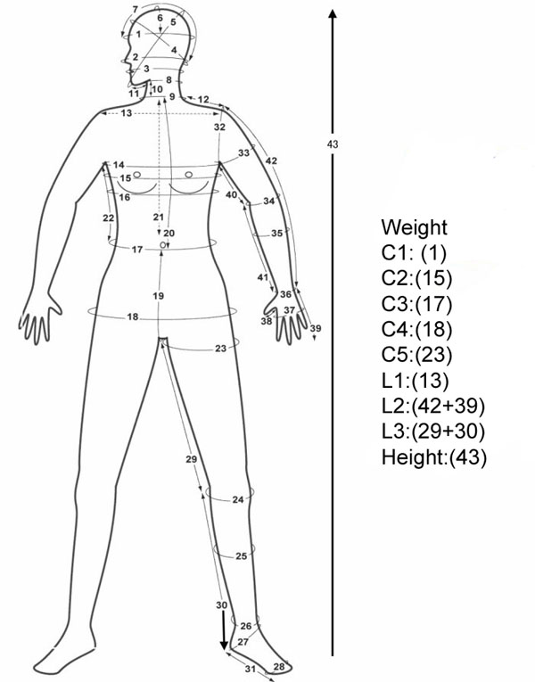 Bodyweaver Store Size Chart